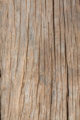 dry plank background,Old gray cracked weathered washed tainted wood texture with horizontal cracks with traces of sawn down. Natural textured closeup dry plank background.