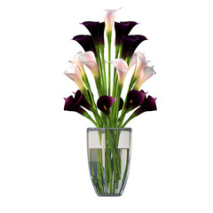 decorative flowers and plants for the interior,  isolated on white background, 3D illustration, cg render