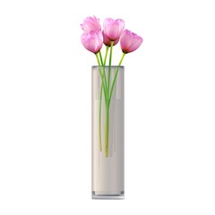 decorative flowers and plants for the interior,  isolated on white background, 3D illustration, cg render