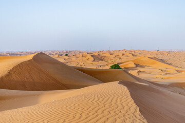 Fototapeta na wymiar Dunes in the desert