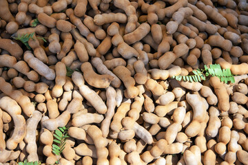 close up of a pile of beans