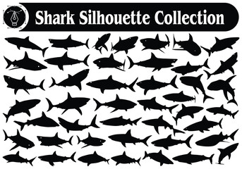 Animal Shark Silhouette Vector Collection