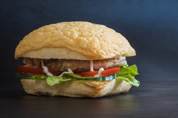 Fresh homemade chicken burger with greens and vegetables dark background