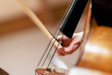A double bass bow going across strings
