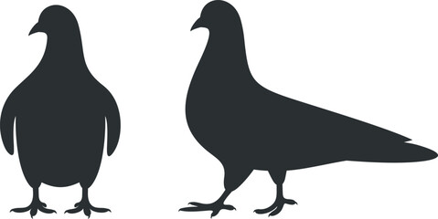 Dove silhouette. Isolated dove on white background. Bird