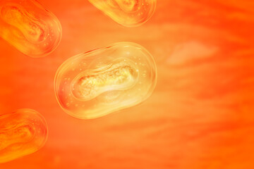 Monkeypox virus model. Concept of searching for antibodies to Monkeypox virus. Anti-Monkeypox Virus...
