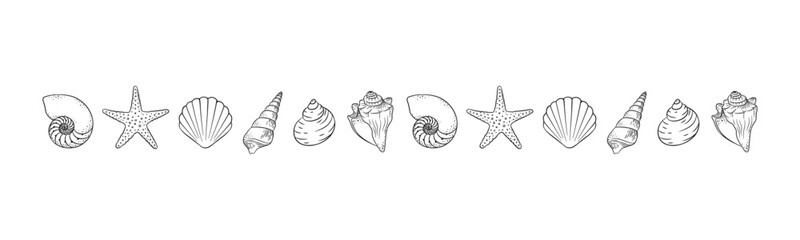 Seashells border divider outline. Sea and ocean design template. Vector illustration summer or beach party, advertising design