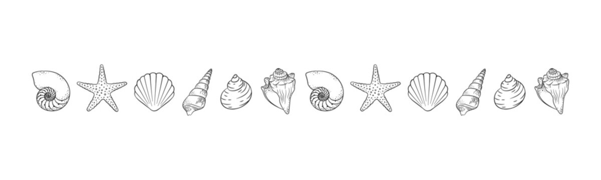 Seashells border divider outline. Sea and ocean design template. Vector illustration summer or beach party, advertising design