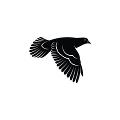 Silhouette pigeon vector illustration design