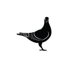 Silhouette pigeon vector illustration design