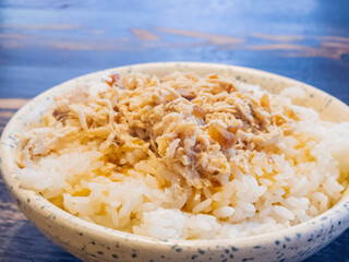 Close up shot of Taiwanese shred chicken