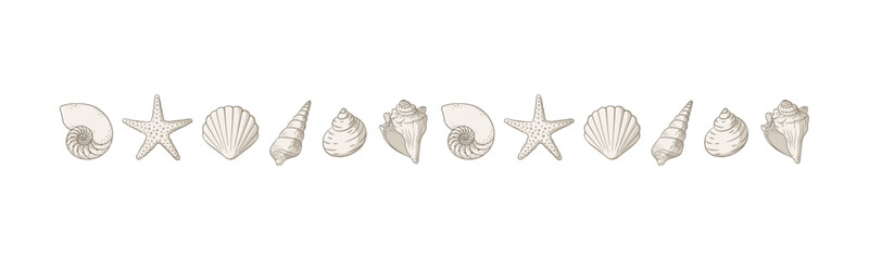 Seashells border divider. Sea and ocean design template. Vector illustration summer or beach party, advertising design
