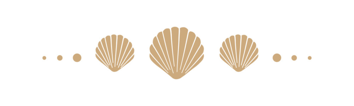 Seashells border divider. Sea and ocean design template. Vector illustration summer or beach party, advertising design