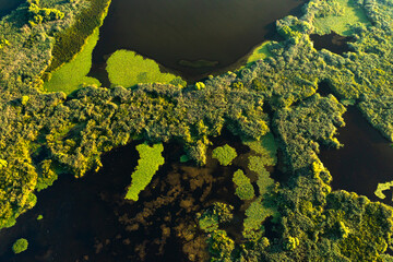 Textures of Danube Delta. Aerial view with the amazing vegetation shapes and texture in Danube Delta landmark place from Romania.