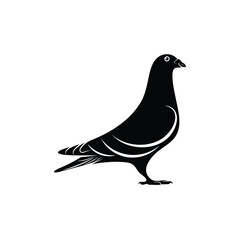 Silhouette pigeon vector illustration design