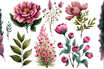Plexiglas foto achterwand Set of pink garden flowers, Beautiful floral elements,  generative ai © DurffeeMill