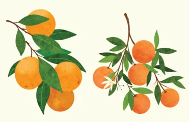 Fotobehang branch of a tangerine © nimo art studio