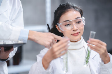 Pharmaceutical factory woman worker in protective clothing operating production line in sterile environment, scientist with glasses and gloves checking hemp plants in a marijuana farm