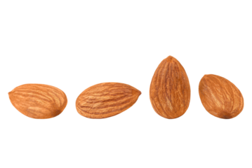 Several almonds isolated on transparent background.