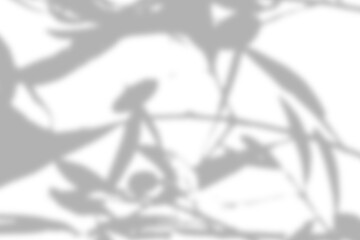 leaf shadow overlay effect. white background with tropical leaves shadows