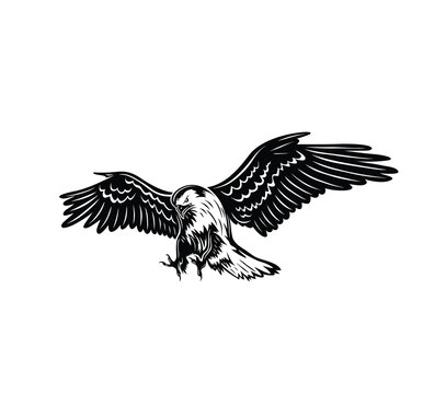 Eagle Silhouette, art vector design