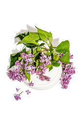 Lilac flowers bouquet on trendy stand isolated on a white background. Springtime concept