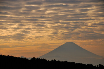 夏の朝に望む富士山