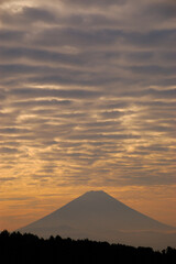 夏の朝に望む富士山