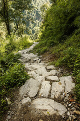 Trekking route in Himalaya mountains, Nepal. Stone paved road in green tropical forest on low altitude.