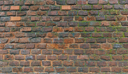 a wall of red bricks of various shades, covered with green moss and chips, with signs of destruction. background texture
