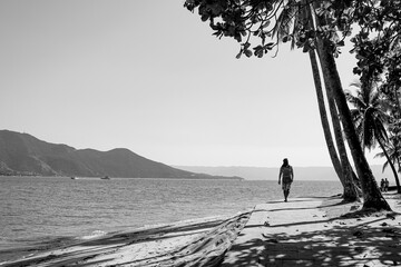 silhouette of a person on the beach