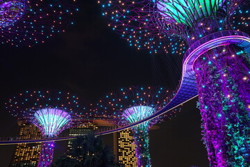 Supertree Grove, Lightshow in Singapore - シンガポール スーパーツリー グローブ ライトショー イルミネーション - obrazy, fototapety, plakaty