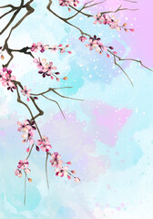 Watercolor cherry blossom sakura branch, Pink blue abstract background