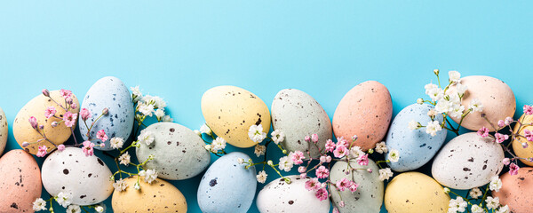 Banner of Easter quail eggs, and flowers over blue background. Spring holidays concept with copy space. Top view