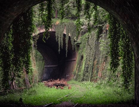 A railway track reclaimed by nature. 