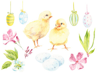 Big Easter Set watercolor elements - couple of young chicken, eggs, cherry spring blossom, Oleander flowers. Collection of illustrations for spring, farm, Easter design isolated on white background.