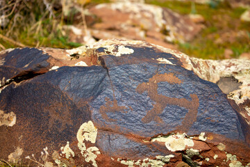 Petroglyphs on the rocks in Kazakhstan. The ancient parking cave man. Historical cave paintings. Carved on stone images of deer, goats and wolves. The development of ancient peoples.
