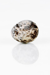 Quail egg on a white background. Reflection. Close-up