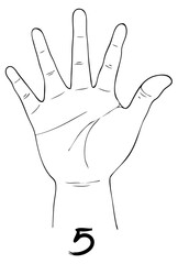 Hand Drawn Sketch Set of Hand Signs Showing The Number Five.
