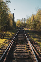 railway tracks in the autumn forest