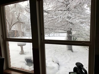 Window view of snow-covered ground in a backyard