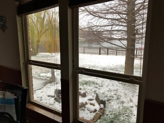 Side, window view of a winter scene