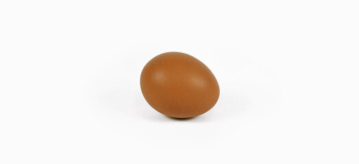 Chicken egg on a white background. Banner.