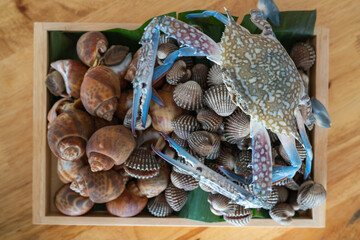 Wood plate with seafood cockle and babylon snails ready to cook or grill