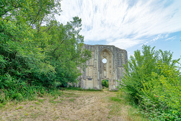Fototapeta na wymiar Ruines du château et de la collégiale des Roches-Tranchelion