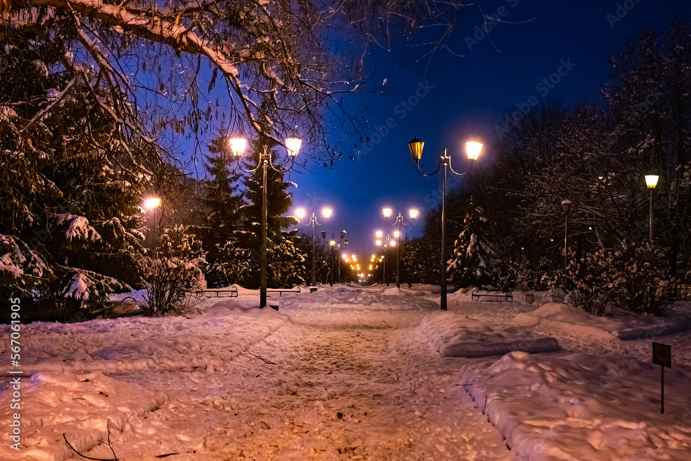 Canvas Prints Alley night lamp winter