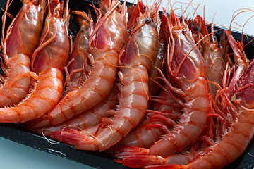 Gambas  frescas y crudas.