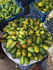 Fresh green bunch of cucumbers for sale in local market.