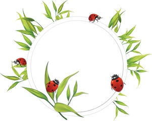 Ladybug ladybird beetle leaf cartoon vector graphic nature insect grass info banner frame © zuzendesign