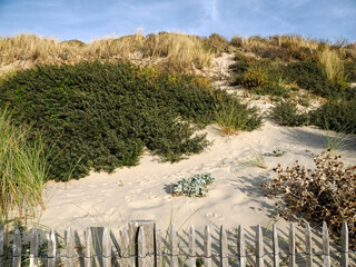 Dunes at Berck sur Mer, a commune in the northern French department of Pas-de-Calais.It lies within...